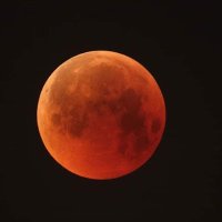 Jose Flores Chamba (@flores_cha53909) 's Twitter Profile