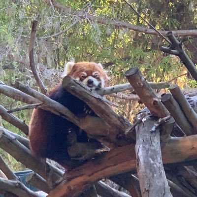 keirstin_nitzel's profile picture. 