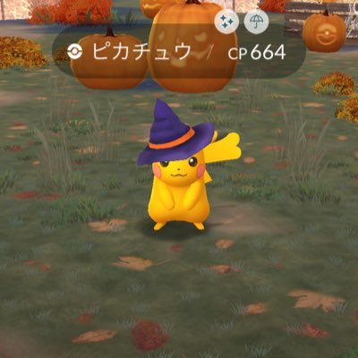 柏、我孫子 、ポケモンGO交換募集中です。 ピカチュウ集めています。 交換は非対面希望です。ポケモン交換出来るフレン募集中です 平日午前中なら柏、松戸、北千住、日暮里 上野交換出来るときがあります。 柏は午前、午後で時間相談でお願いします。よろしくお願いします。
