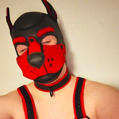 22 Yr old pup | Vers bottom | Dom-leaning switch | Poly Partner of @Excitable_enby | Dms open | https://t.co/jjbuwRShXl