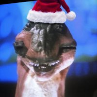 Ringdalen (@norwrestlingfan) 's Twitter Profile Photo