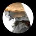 jo .. (@jojoo_80) Twitter profile photo jo .. (@jojoo_80) Twitter profile photo