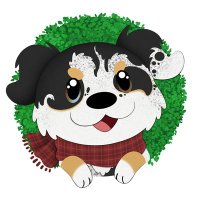Jenny Danko (@jennydanko) 's Twitter Profile Photo