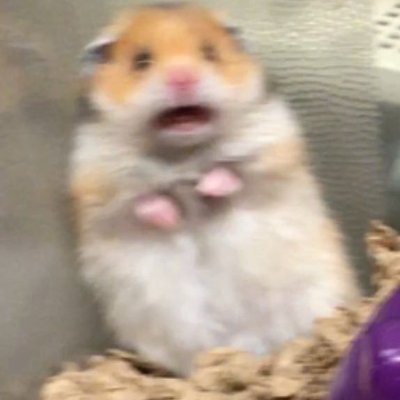 Horny_Fag_'s profile picture. just a horny jail for a horny boy ™️

20
FR/EN
DMs open

Not into findom (I'm broke xD)