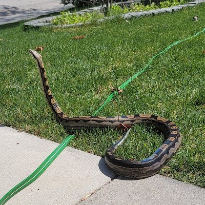 Resetbutton1947's profile picture. 