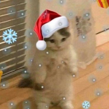 Lunxto's profile picture. uma mistura de livros, Jesus e pensamentos intrusivos.