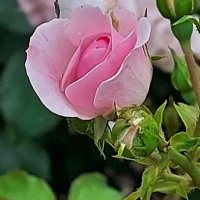 Magdalena (@magdalena14feb) 's Twitter Profile