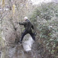 Rob Andrews (@robbirder) 's Twitter Profile