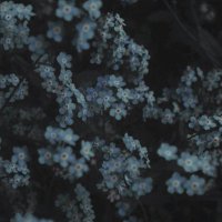 Josefine_1dpotato (@josefine2401) 's Twitter Profile