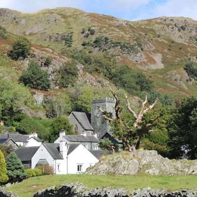 kelvin7139's profile picture. 