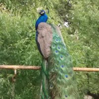Jovita Trivi (@jovitatrivi) 's Twitter Profile Photo Jovita Trivi (@jovitatrivi) 's Twitter Profile Photo