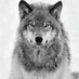Roveri Paul-Henri (@pollux130676) Twitter profile photo Roveri Paul-Henri (@pollux130676) Twitter profile photo