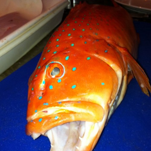 matlindsay's profile picture. roaming