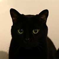 Verde π (@verdescuro_) 's Twitter Profile Photo Verde π (@verdescuro_) 's Twitter Profile Photo