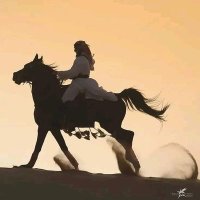 الذئب الثائر (@mlk__k711) 's Twitter Profile