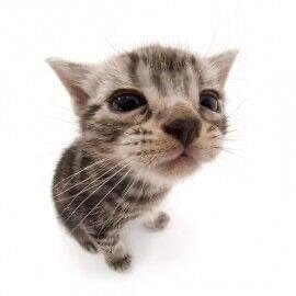 edcdecl's profile picture.