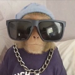 idrodinhas's profile picture. 