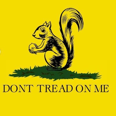 Mel_Gildner's profile picture. 