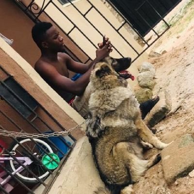 Freeman_Dah_Gr8's profile picture. Football Lover⚽ | Geographer 🌏 | Blues 💙 4L