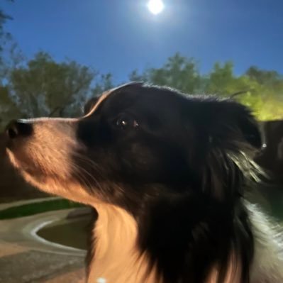 Justin Profile