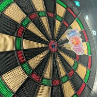 なむ (@num_darts) 's Twitter Profile