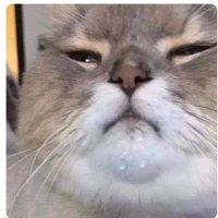 zerominded (@jayzeromind) 's Twitter Profile