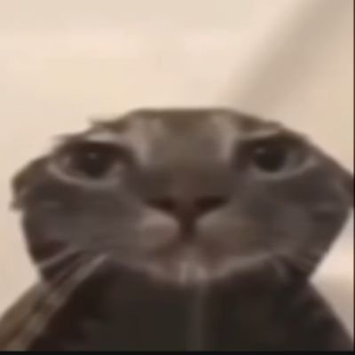 xRussoboy's profile picture. 🇦🇷 gordo compu