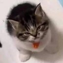 Katie Moffitt - @Donnydumplings - Twitter