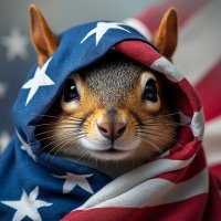 Nikole (@4nikkib) 's Twitter Profile