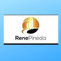 datastocks (@renepdata) 's Twitter Profile