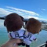 sussie31's profile picture. 元野球少年の母。松井稼頭央世代。💙オリックスバファローズ💙岸田護監督・曽谷龍平・宮城大弥・廣岡大志・太田椋・石川亮・中川圭太 💙西武ライオンズ💙源田壮亮・滝澤夏央・村田怜音・菅井信也💙日ハム💙山﨑福也。旦那との出会いは甲子園ライスタ🐯 息子→獅子男 旦那さん→虎キチ💚3代目JSB💚山下健二郎