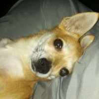 Michelle Redding Yancey (@charlottey44763) 's Twitter Profile Photo Michelle Redding Yancey (@charlottey44763) 's Twitter Profile Photo