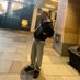 Dolan (@dolan__knight__) Twitter profile photo Dolan (@dolan__knight__) Twitter profile photo