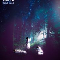 みーす🫎 (@libera_jpn) 's Twitter Profile