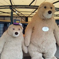 零被 (@zo1ho) 's Twitter Profile Photo