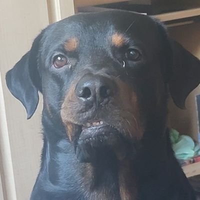 MarcelaLazo13's profile picture. 