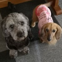 優子︎︎︎︎☺︎ (@m_yuuko1007) 's Twitter Profile