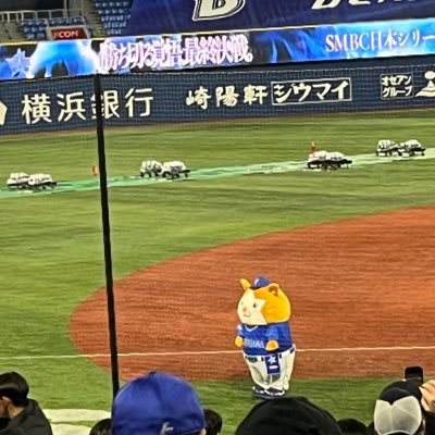 これまで野球に興味なかったのに、2024年6月くらいにスタジアムで観戦してからベイスターズファンになりました🌟