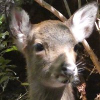 生涯学習 -Lifelong Learning- (@learning18723) 's Twitter Profile