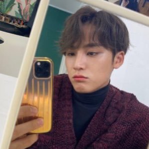 mingyu viral tweetsさんのプロフィール画像