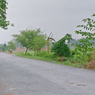 SikendarY42310's profile picture. 