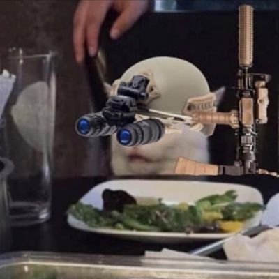 TXChickenSnake's profile picture. Texas rancher, Roper,2A, cat wrangler, dog petter, horse nonsense and other barnyard activities. ❌️NO DMs❌️NO PORN❌️