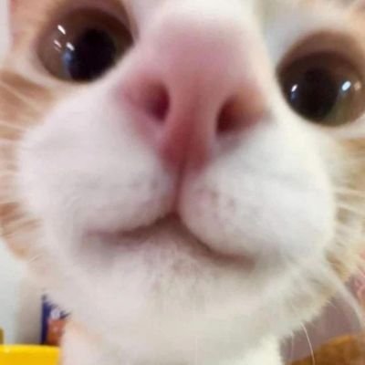 mangper209's profile picture. 여대생