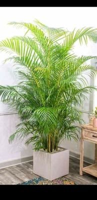 GSJyothiSankar's profile picture. 