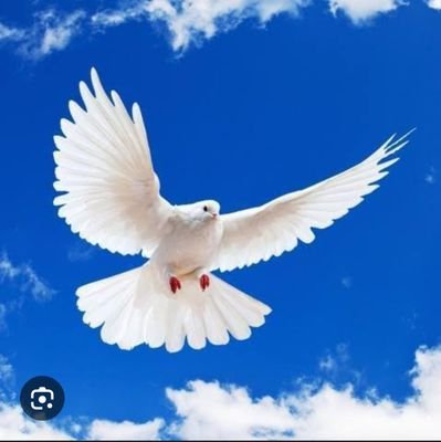 parinda_73's profile picture. 