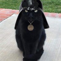 David (@david62687320) 's Twitter Profile