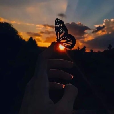 AnyCandle's profile picture. 