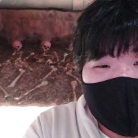 Japon Yuhei (@turkcekonusanjp) 's Twitter Profile Photo Japon Yuhei (@turkcekonusanjp) 's Twitter Profile Photo
