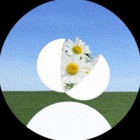 cd (@_agentcd_) 's Twitter Profile Photo