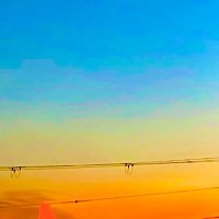 図図 (@ensnrk) 's Twitter Profile